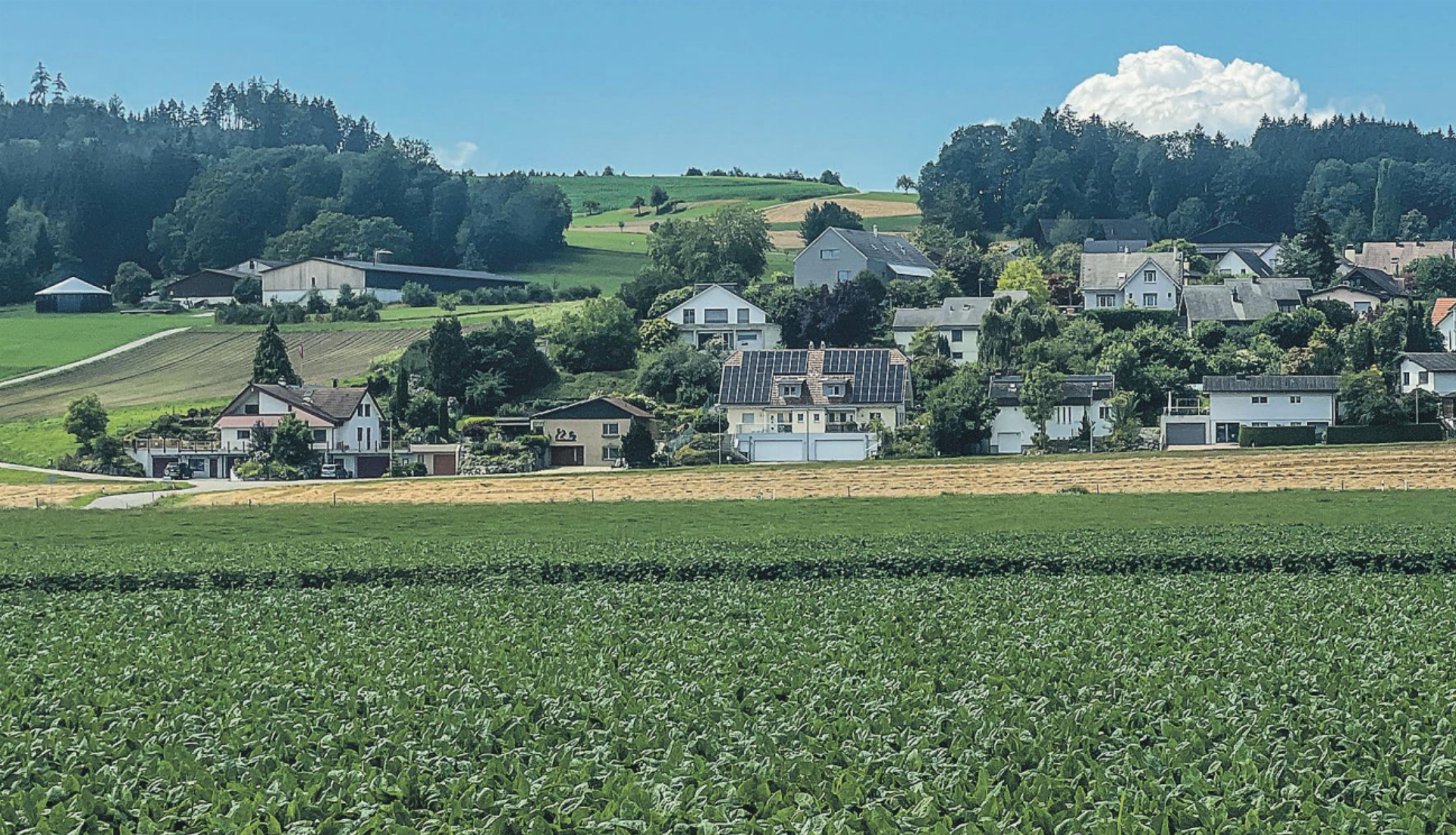 Abstimmung Ernährungsinitiative - Das Bild wird blockiert. – Möglicherweise durch einen aktiven Adblocker.