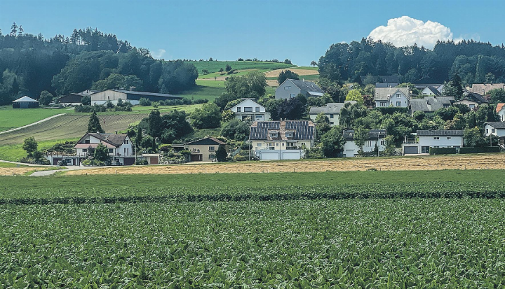 Die Ernährungsinitiative will erreichen, dass in der Schweiz mehr pflanzliche Lebensmittel produziert. Bild: Bettina Sticher