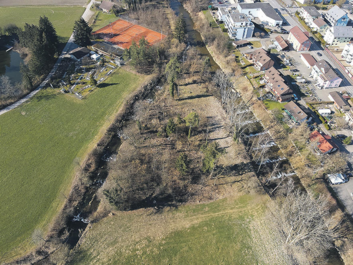 Das Wald-Dreieck zwischen Murg und Lützelmurg soll ans Flusssystem angeschlossen werden (Blickrichtung flussabwärts).