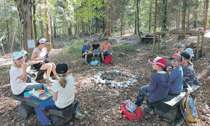 Die Kinder genossen die gemeinsame Herbstwanderung mit viel Bewegung, Spiel und Zeit in der Natur. Bild: zVg