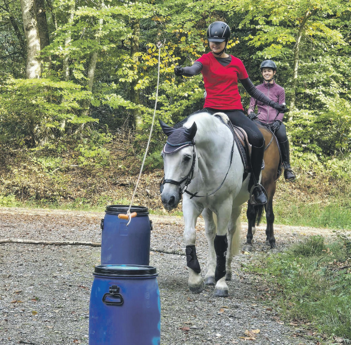 Reitkünste sind gefragt beim Patrouillenritt.