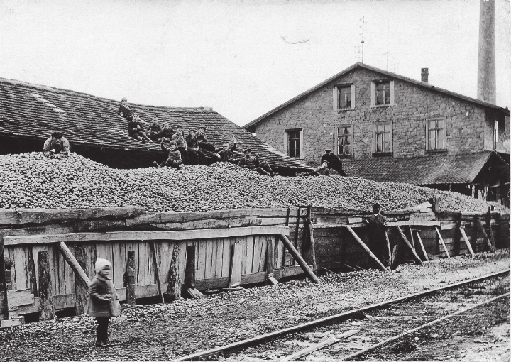 Mostobstlager in Romanshorn, 1922, Foto: R. Kielinger. Bild: zVg