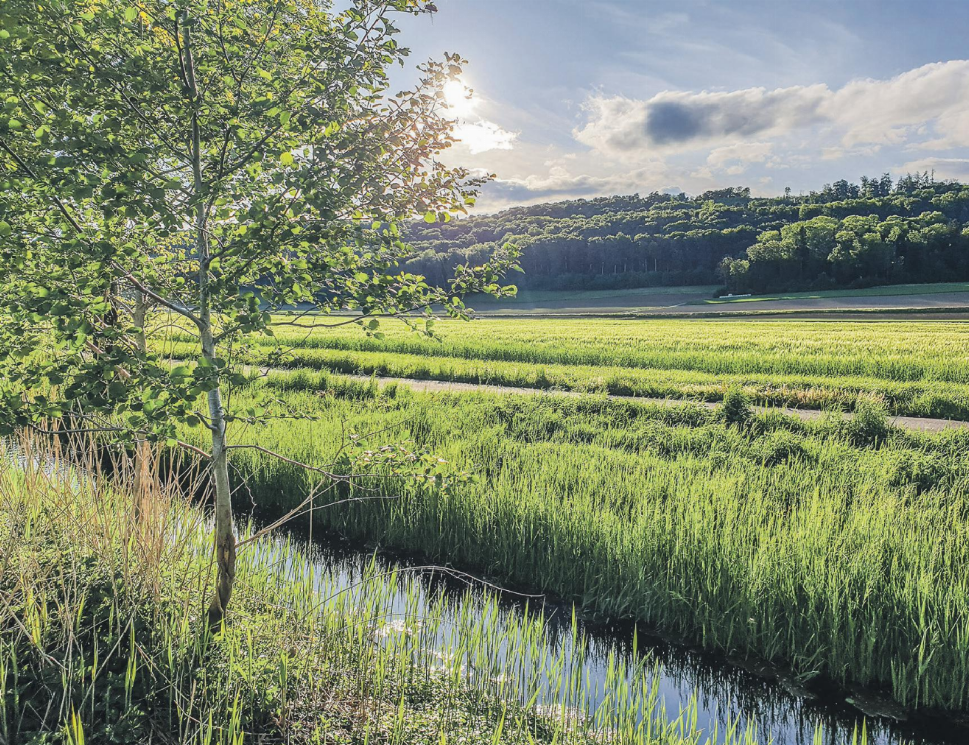 Wie die Landschaft mehr Wasser speichern soll - Das Bild wird blockiert. – Möglicherweise durch einen aktiven Adblocker.