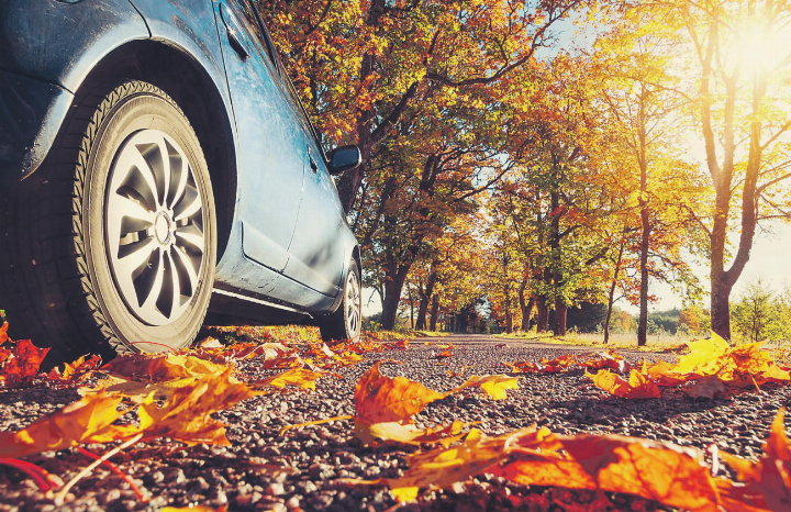 Der Herbst ist da: Während der kalten Jahreszeit steigt die Unfallgefahr für Automobilisten sowie Motorrad- und Velofahrerinnen. Bild: TCS