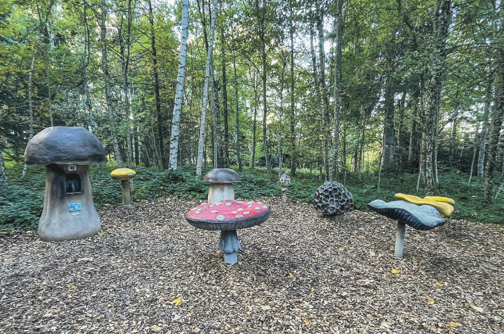 Erlebnisweg für Gross und Klein auf dem Zugerberg. Leserbild: Irene Hess, Aadorf Erlebnisweg für Gross und Klein auf dem Zugerberg. Leserbild: Irene Hess, Aadorf