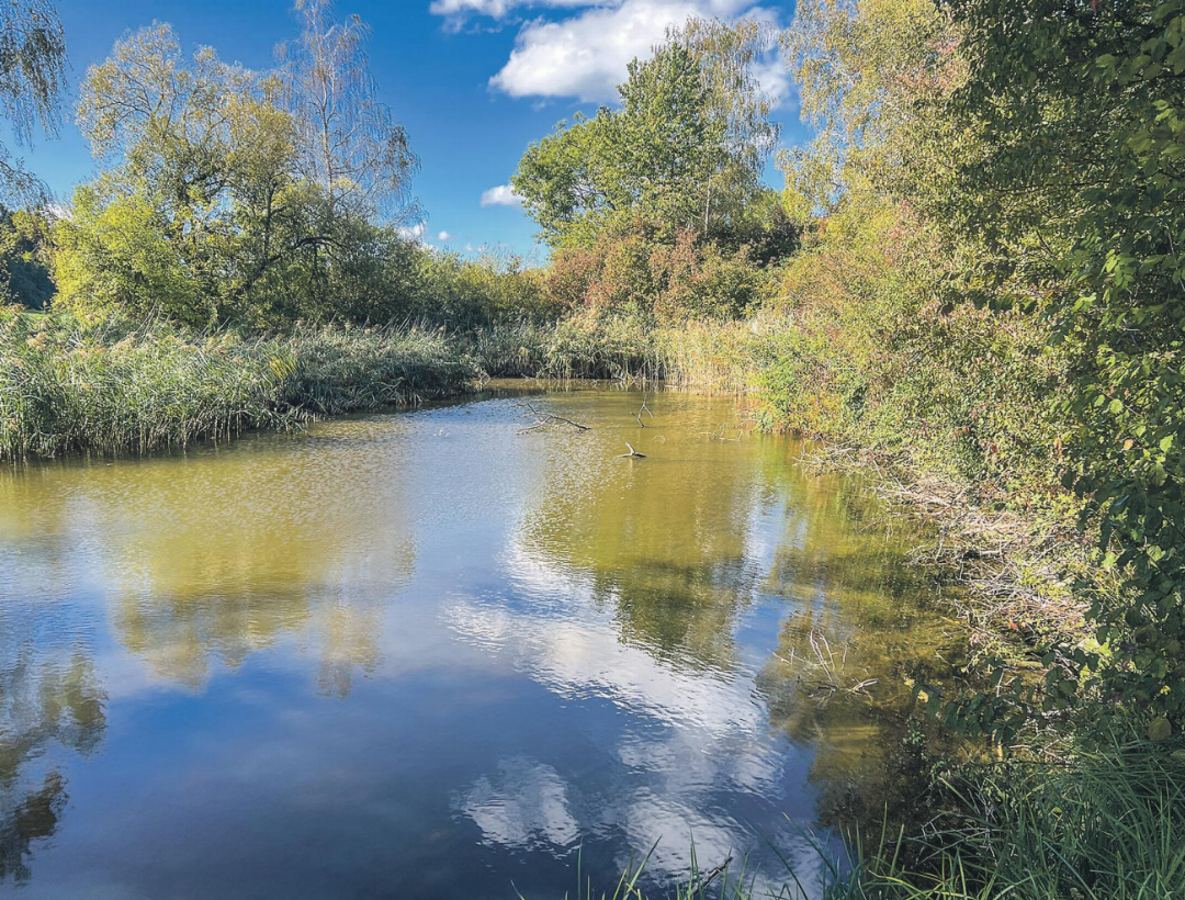 Auch beim Badweiher zeigt es sich, dass Wasser dieses Jahr knapp ist. Bilder: Bettina Sticher Auch beim Badweiher zeigt es sich, dass Wasser dieses Jahr knapp ist. Bilder: Bettina Sticher