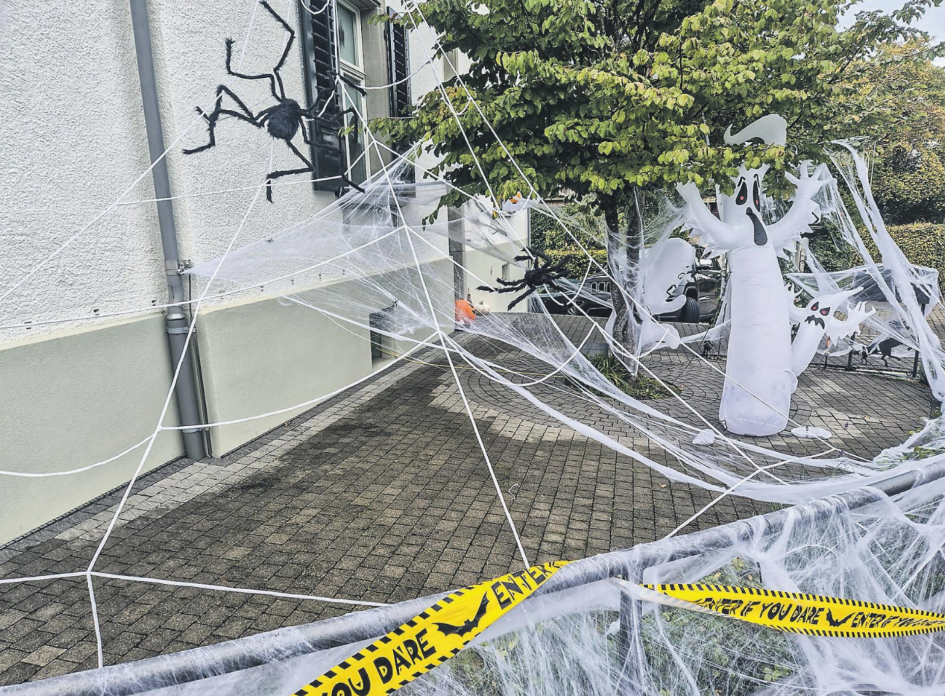 Bild des Tages - Das Bild wird blockiert. – Möglicherweise durch einen aktiven Adblocker.