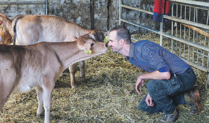 Jörg Büchi auf Tuchfühlung mit einem seiner Kälber.