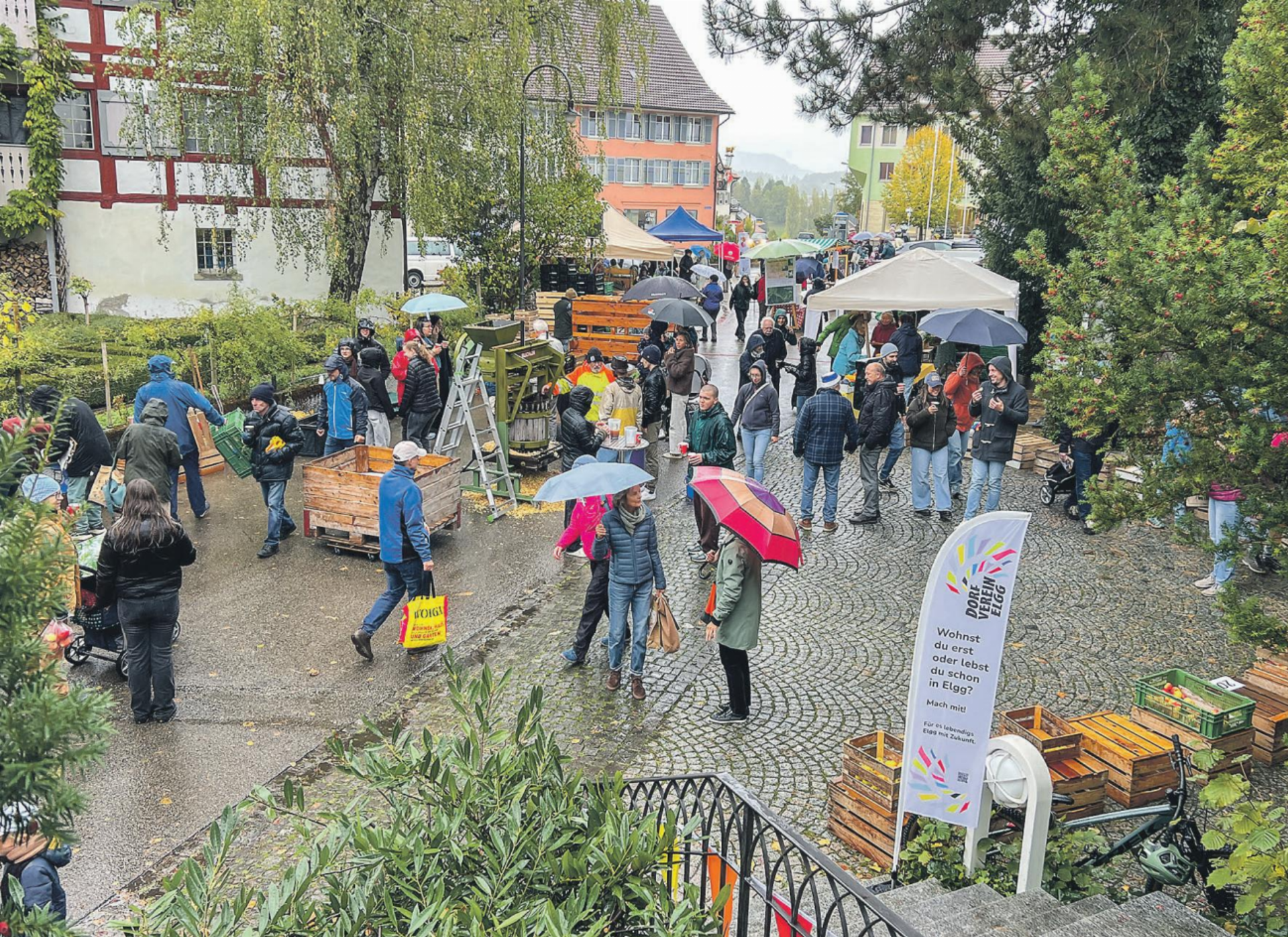 Rekorde am Apfelmarkt im Jubiläumsjahr - Das Bild wird blockiert. – Möglicherweise durch einen aktiven Adblocker.